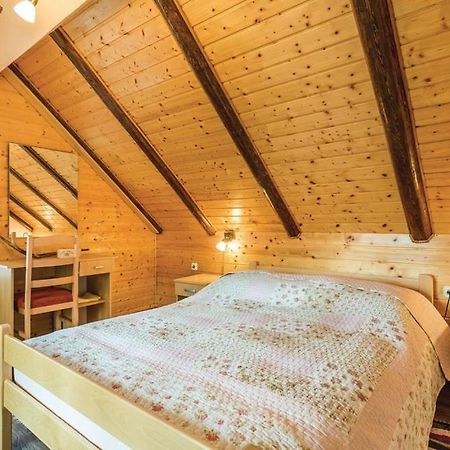 Apartman"Zibar" Skrad Buitenkant foto